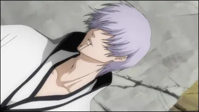 Ancien capitaine, j'ai trahi mes amis de la Soul Society pour aller au Hueco Mundo avec Aizen et Tosen. J'ai même trahi mon amie d'enfance. Malheureusement je suis mort lors de nos retrouvailles. Mais de quelle division étais-je le capitaine ?