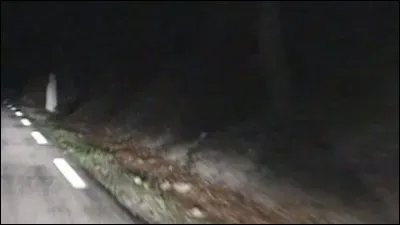 Comment s'appelle cette fille étrange ?