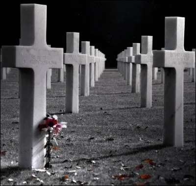 Quel chanteur écrivait en parlant de son père "Monsieur le Président de France, je vous écris du Michighan...Je n'étais alors qu'un enfant mais j'étais fier de raconter qu'il était mort en combattant, qu'il était mort à vos côtés" ?