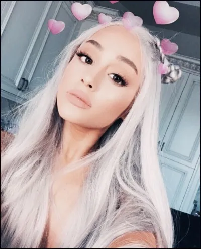 Pour quel clip a-t-elle mis une perruque grise ?