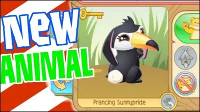 Peux-tu personnaliser l'animal que tu incarnes ?