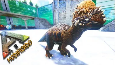 Que veut dire ''pachycéphalosaure'' ?