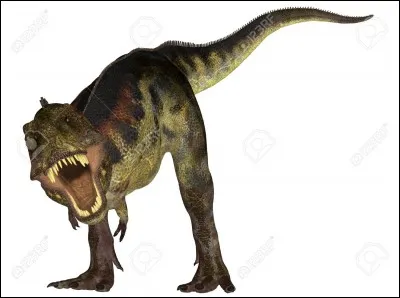 Quelle était la longueur des dents d'un tyrannosaure ?