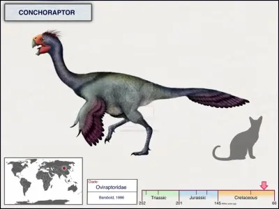 Que veut dire le mot ''conchoraptor'' ?