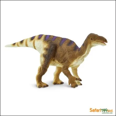 Que veut dire le mot ''iguanodon'' ?