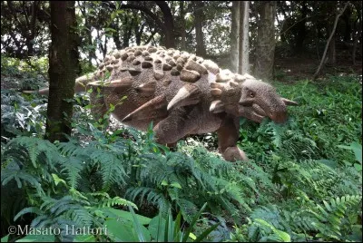 Que veut dire le mot ''nodosaure'' ?