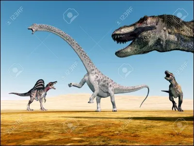 Dans quelle catégorie sont classés les diplodocus ?