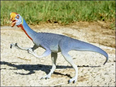 Quel dinosaure était un voleur d'ufs ?