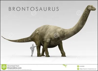 Quel dinosaure était le plus long ?
