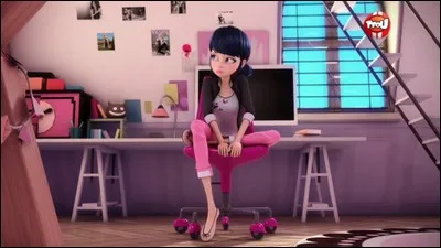 La chambre de Marinette est décorée par des photos de...