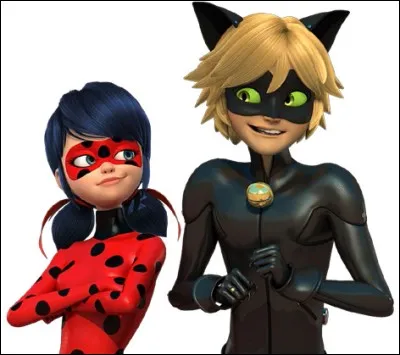 Qui accompagne Ladybug dans ses missions ?