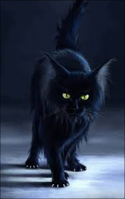 Selon la légende, à qui ce chat noir appartient-il ?