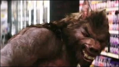 Dans le film "Chair de Poule" diffus&eacute; pour la premi&egrave;re fois en France le 10 f&eacute;vrier 2016, quel bruit a attir&eacute; le loup-garou vers les personnages ?