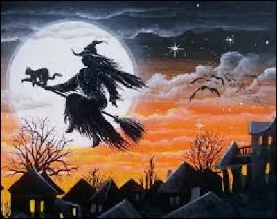 Sur quel objet une sorci&egrave;re vole-t-elle ?