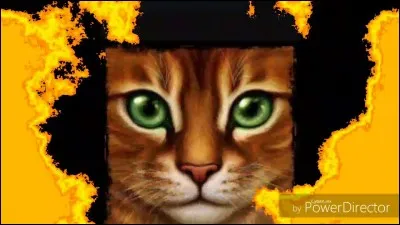 Quelle est ta meilleure qualité ?