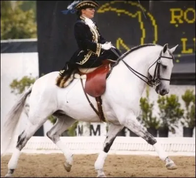 Quelle allure était la plus souvent utilisée par les Amazones ?