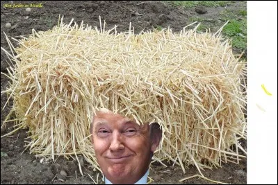 Comment on dit "pas du tout" en espagnol ?