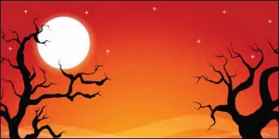 J'observe l'image et je vois dix &eacute;toiles blanches au ciel.