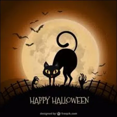 J'observe l'image et je vois deux mains qui sortent du sol.