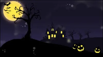 J'observe l'image et je vois neuf fen&ecirc;tres qui appartiennent au manoir.