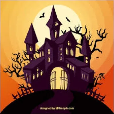 J'observe l'image et je vois 2 chauves-souris situ&eacute;es sur le manoir.