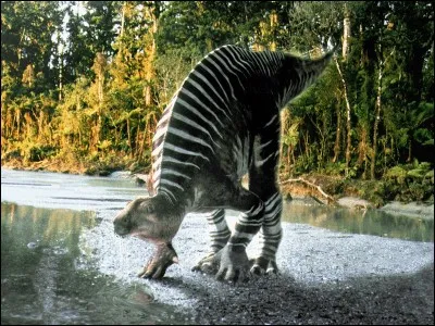 La démarche des grands ornithopodes quadrupèdes tels camptosaurus et iguanodon était très similaire à celle des chevaux actuels.