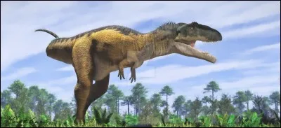 Mapusaurus mesurait :
