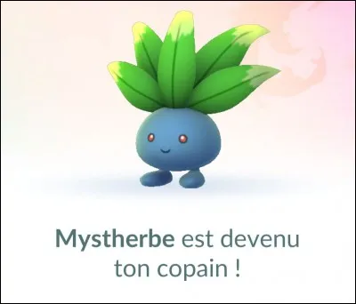 Combien de kilos fait-il environ ?