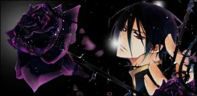 Je suis un chevalier de la rose. Anis, je te prot&eacute;gerai.