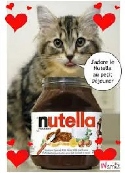 Quelle est sa date de création ?