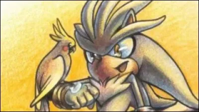 Qui est ce personnage dans Sonic ?