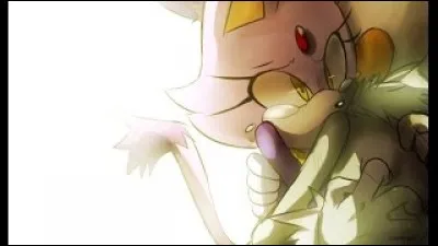 Qui sont ces deux personnages dans Sonic ?