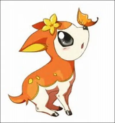 Quelle est sa particularité ?