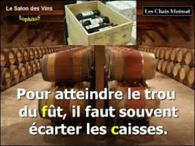 Q : Dans quel titre de film y a-t-il une contrepèterie ?