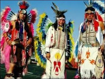 W : Dans quel film les indiens Navajos ont-ils une importance dans le scénario ?