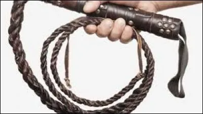 D : Dans quel film voit-on un Noir fouetter un Blanc ?