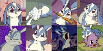 Comment s'appelle le petit lapin de bloom?