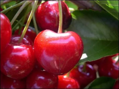La cerise est un fruit rouge.