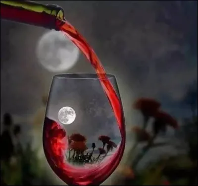 Complétez ces paroles de Graeme Allwright : "Buvons encore une dernière fois à l'amitié l'amour la joie, on a fêté...."