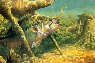 Elle se lève avec la pêche.