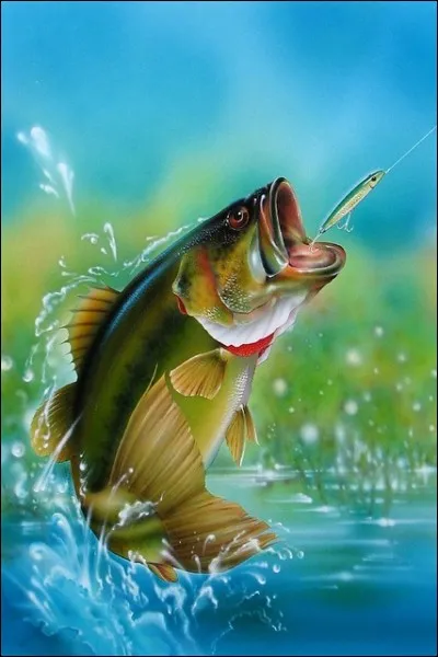 Partie douce de pêche.