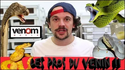 Quelle est cette chaîne YouTube ?