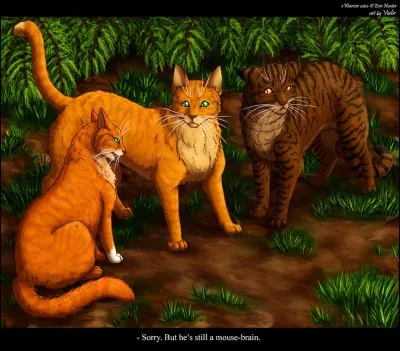 On te donne le nom de Petit Oiseau et ta sur se nomme Petite Orchidée, aussi, votre jeu préféré est...