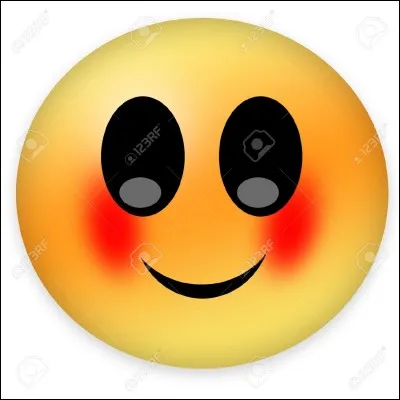 Que veut dire ce smiley ?