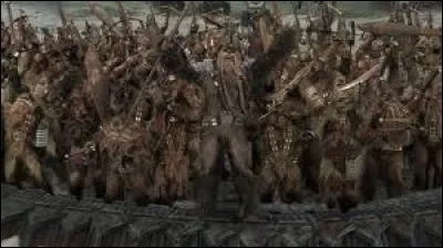 De quelle planète sont originaires les Wookies ?