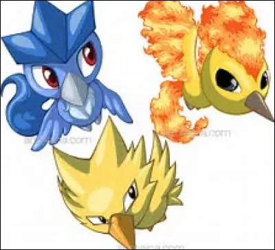 De quel(s) type(s) sont-ils ?