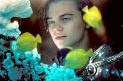 Leonardo DiCaprio + __________ = "Roméo + Juliette"