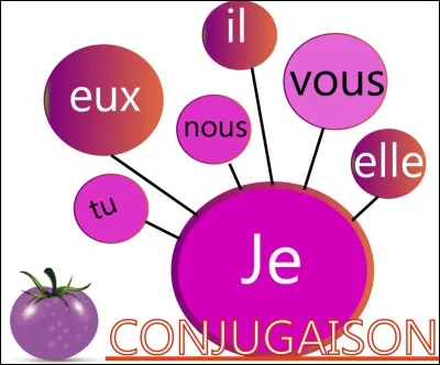 Lequel de ces mots est conditionnel ?