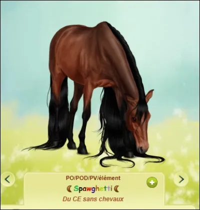 Quels objets permettent de changer la robe du cheval ?