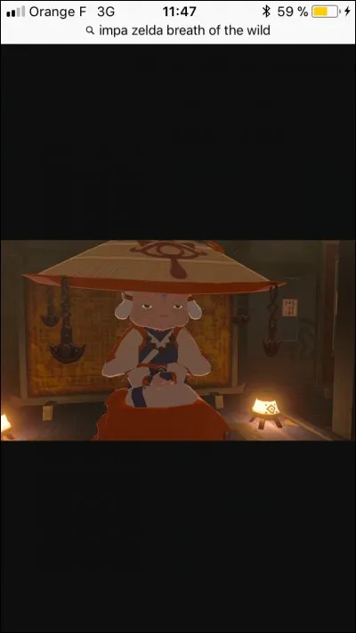 Dans "Zelda Breath of the Wild" qui est Impa ?